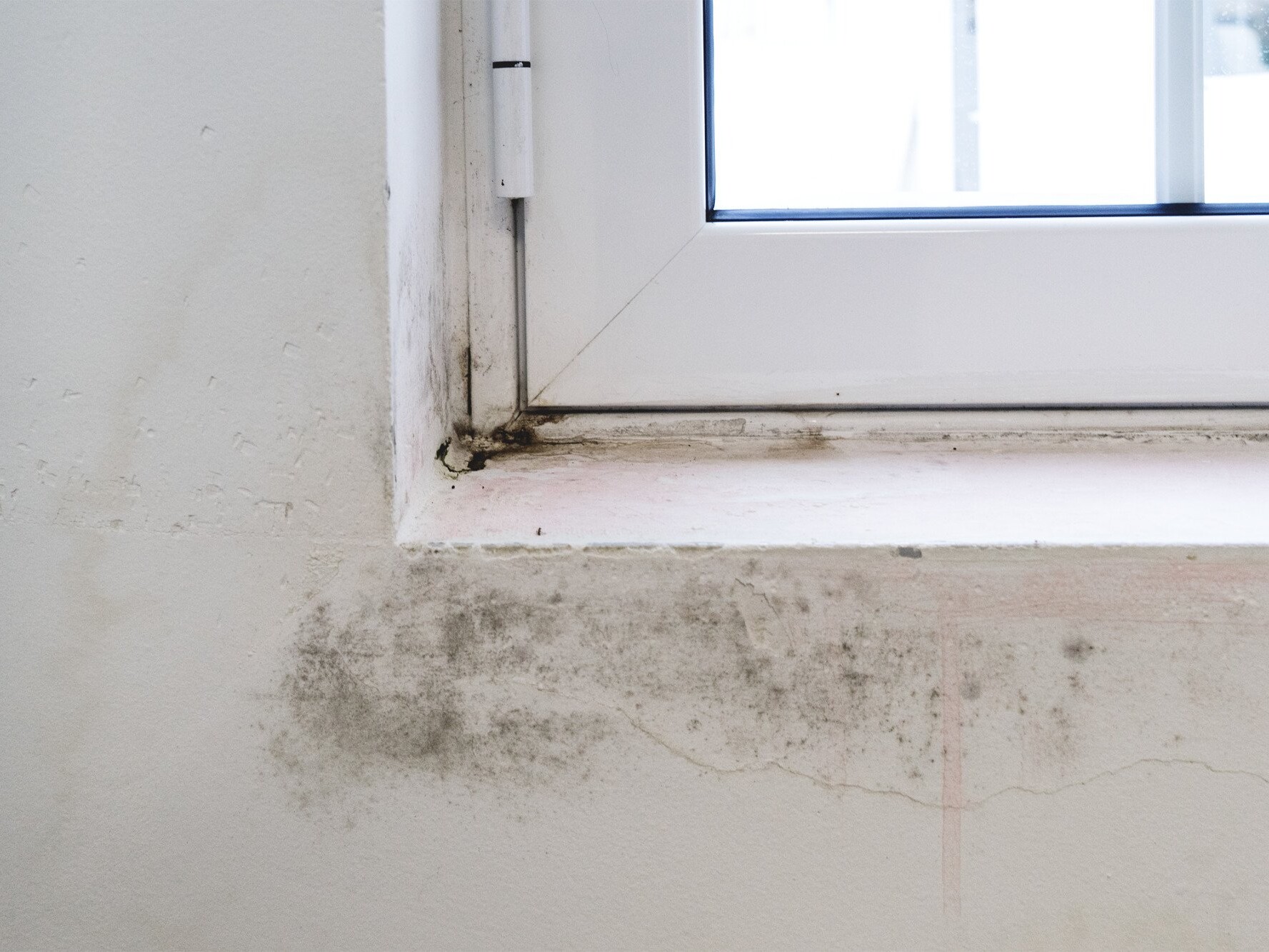 common indoor air pollutants